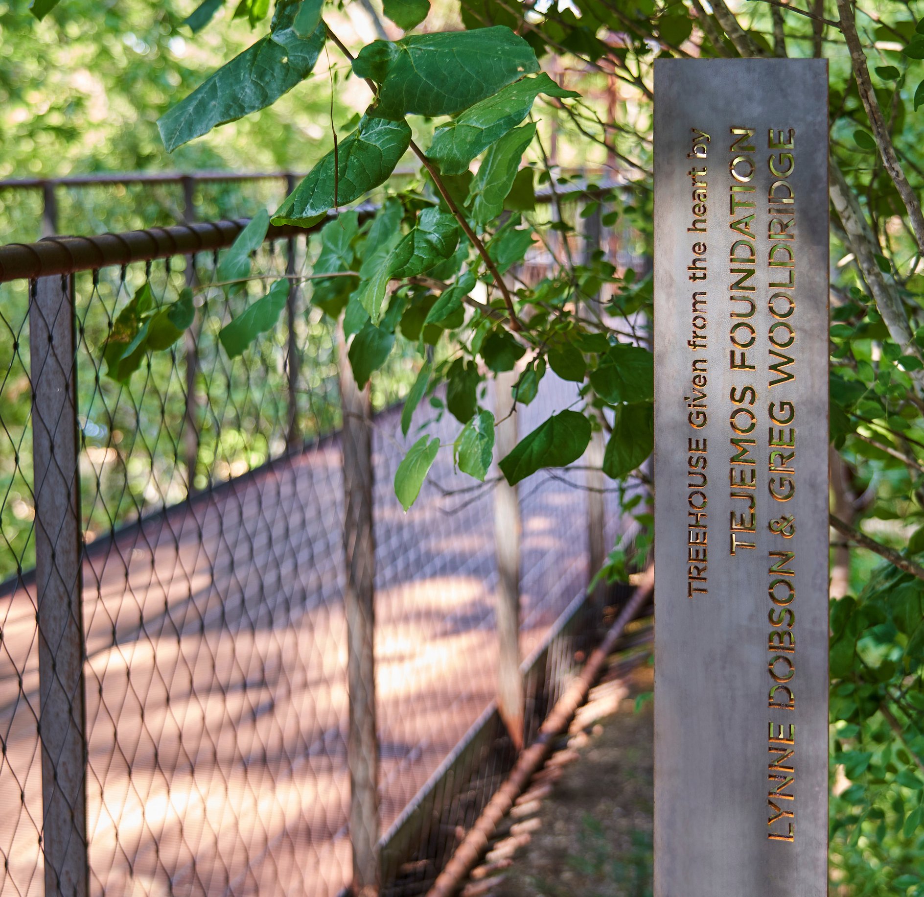 118803 N3 jpg 1