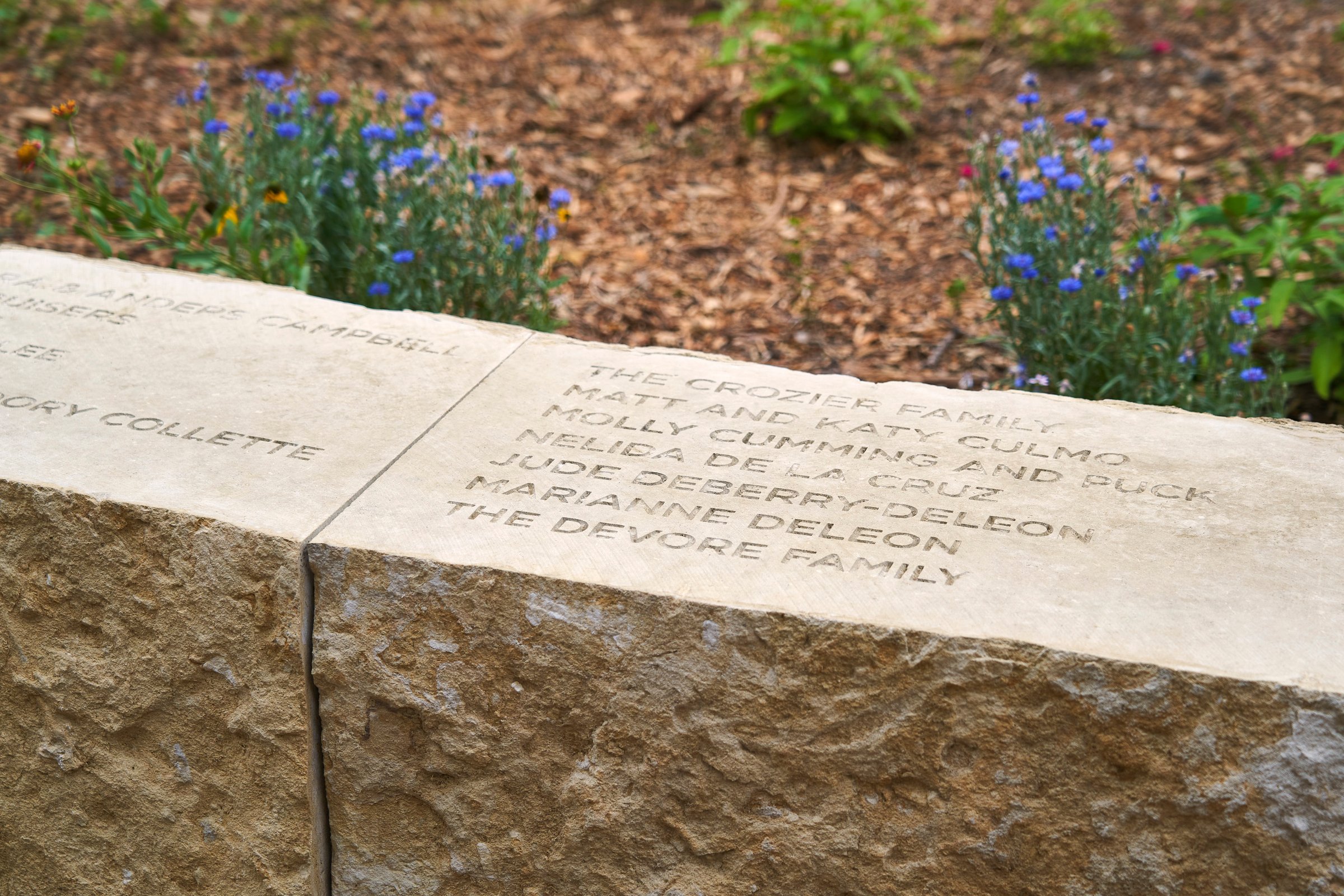 118803 N12 jpg