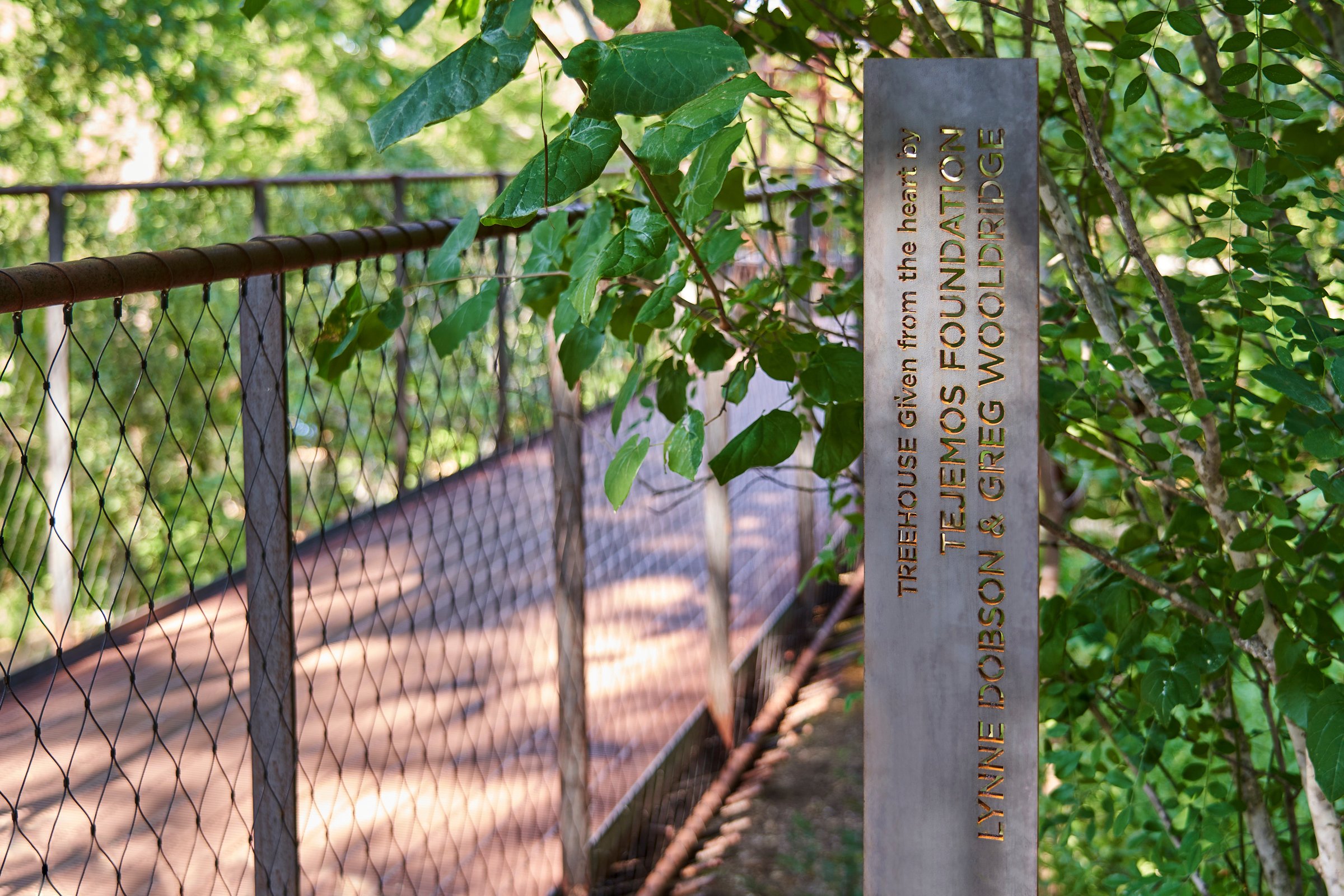118803 N3 jpg